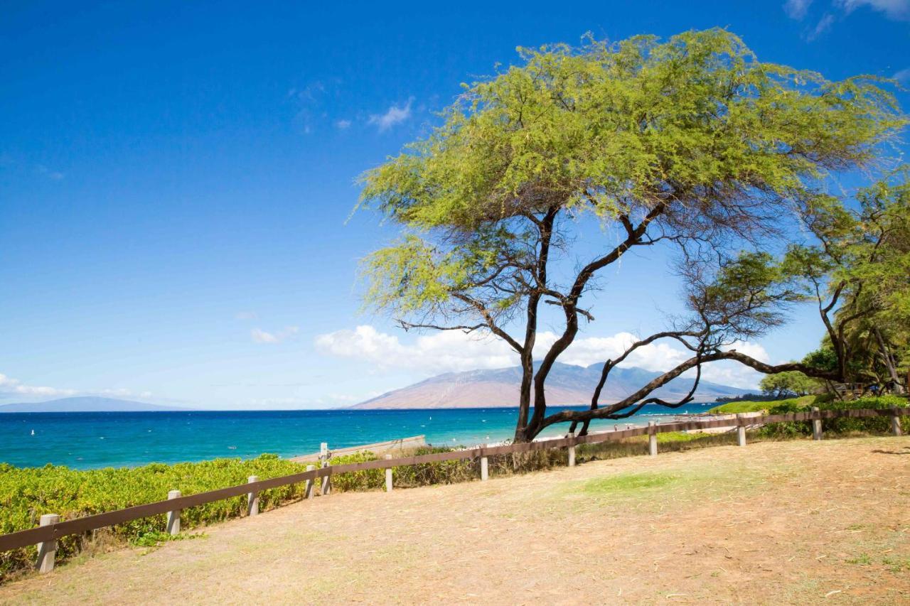 Villa Hale Kamaole 254 Wailea  Esterno foto