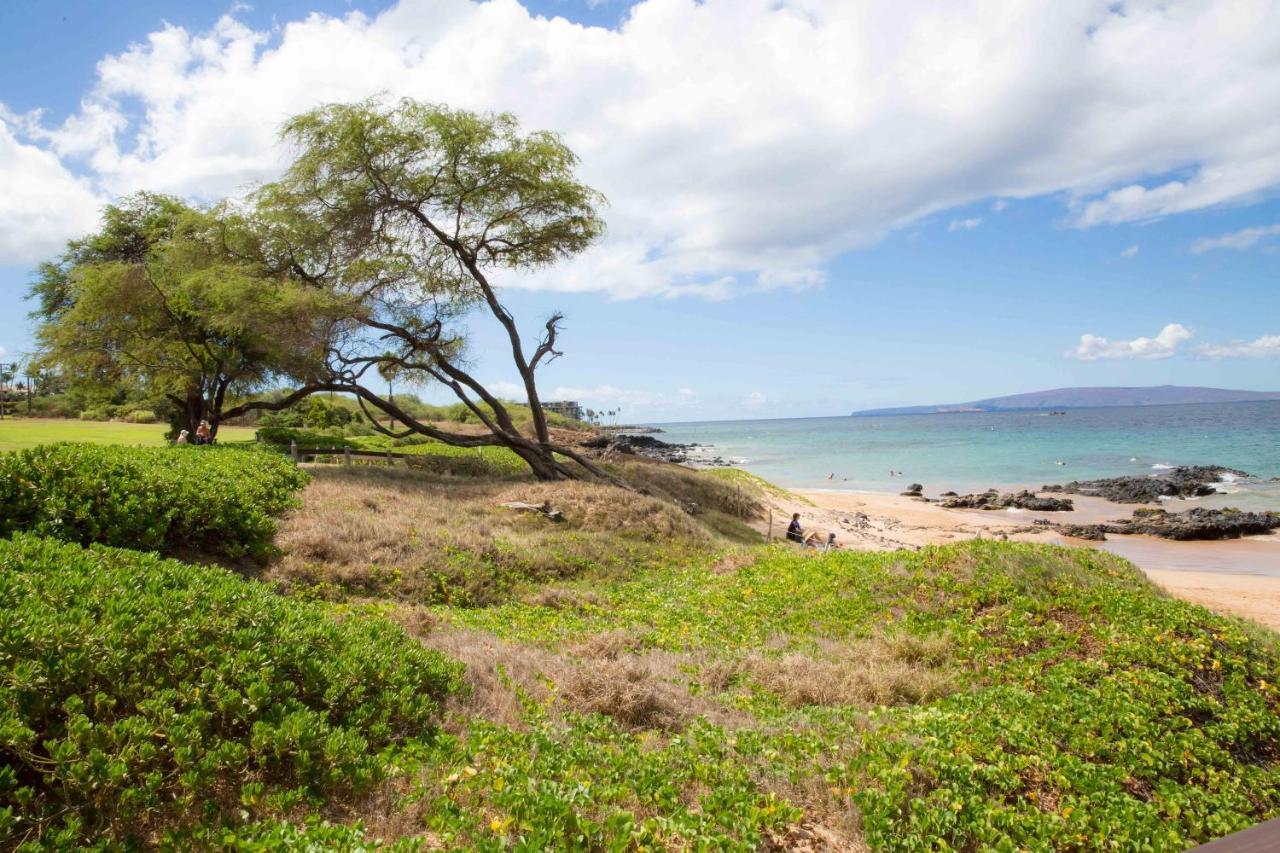 Villa Hale Kamaole 254 Wailea  Esterno foto